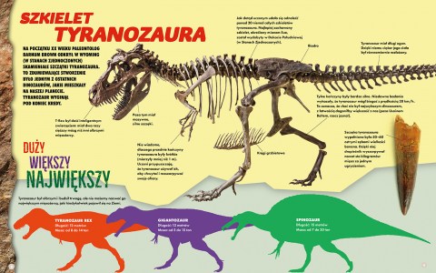 MegaDino_T-Rex_2025 wer PL 8-9